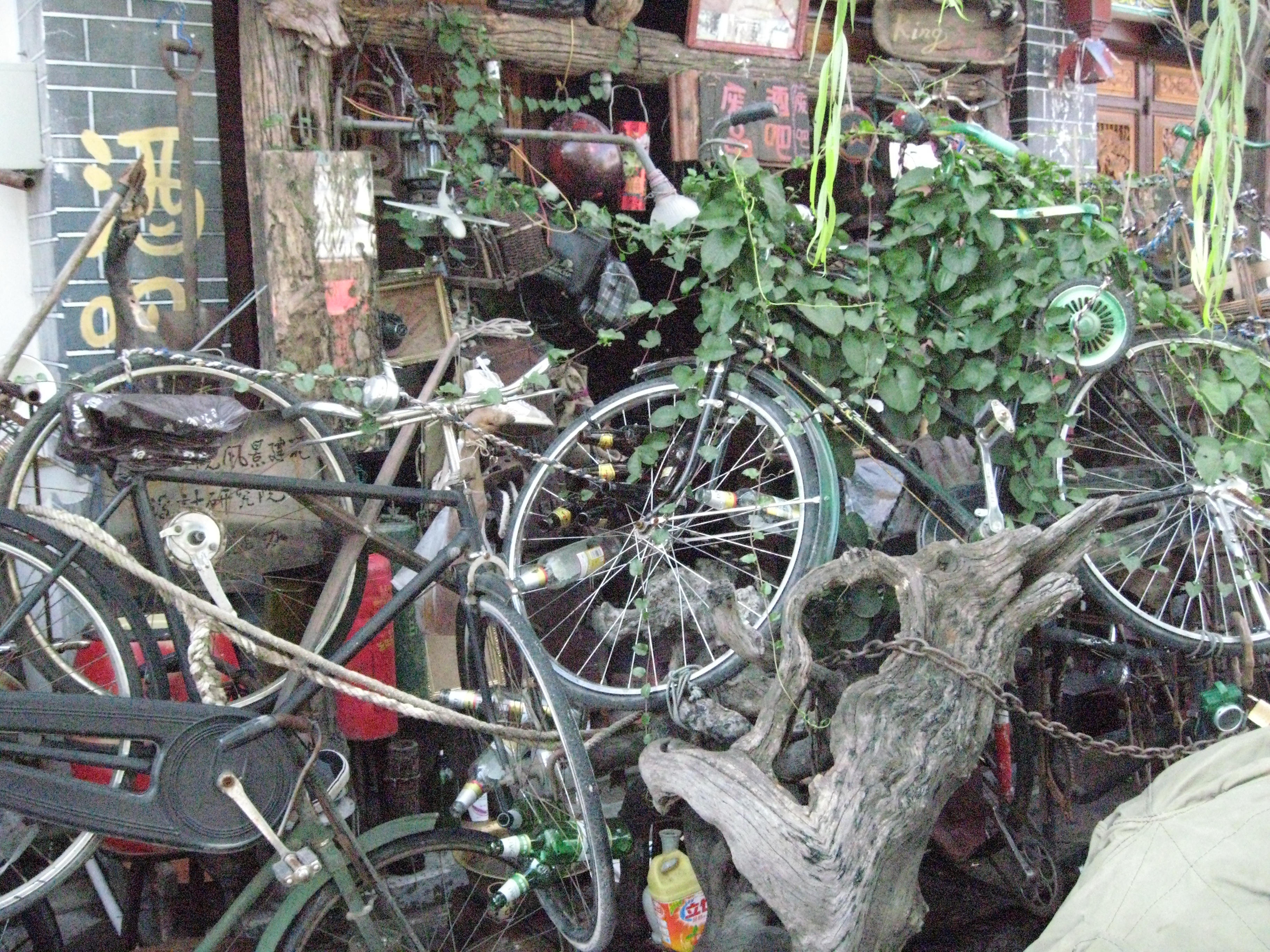 IMG_0042 copy 7.jpeg