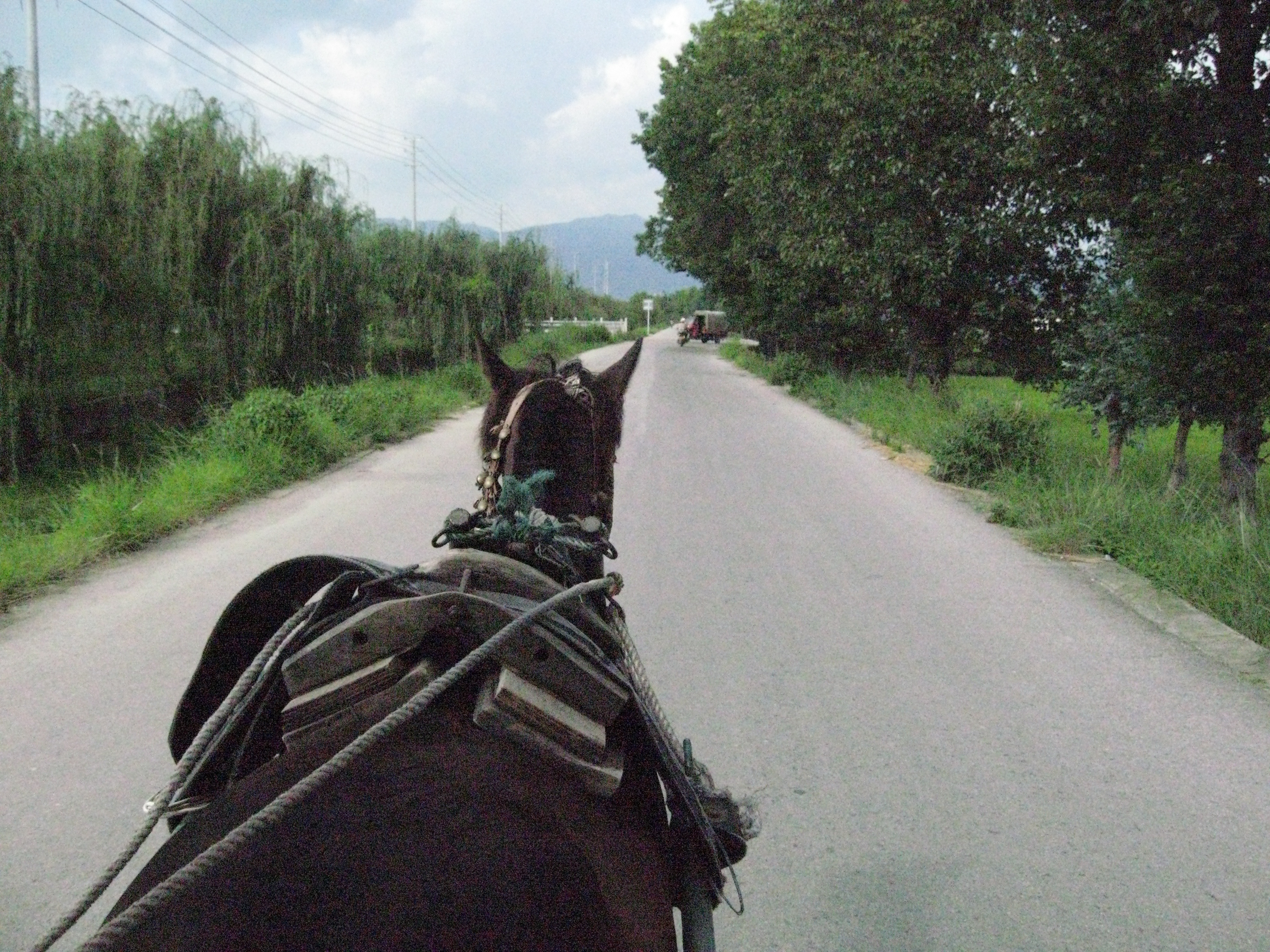 IMG_0124 copy 4.jpeg