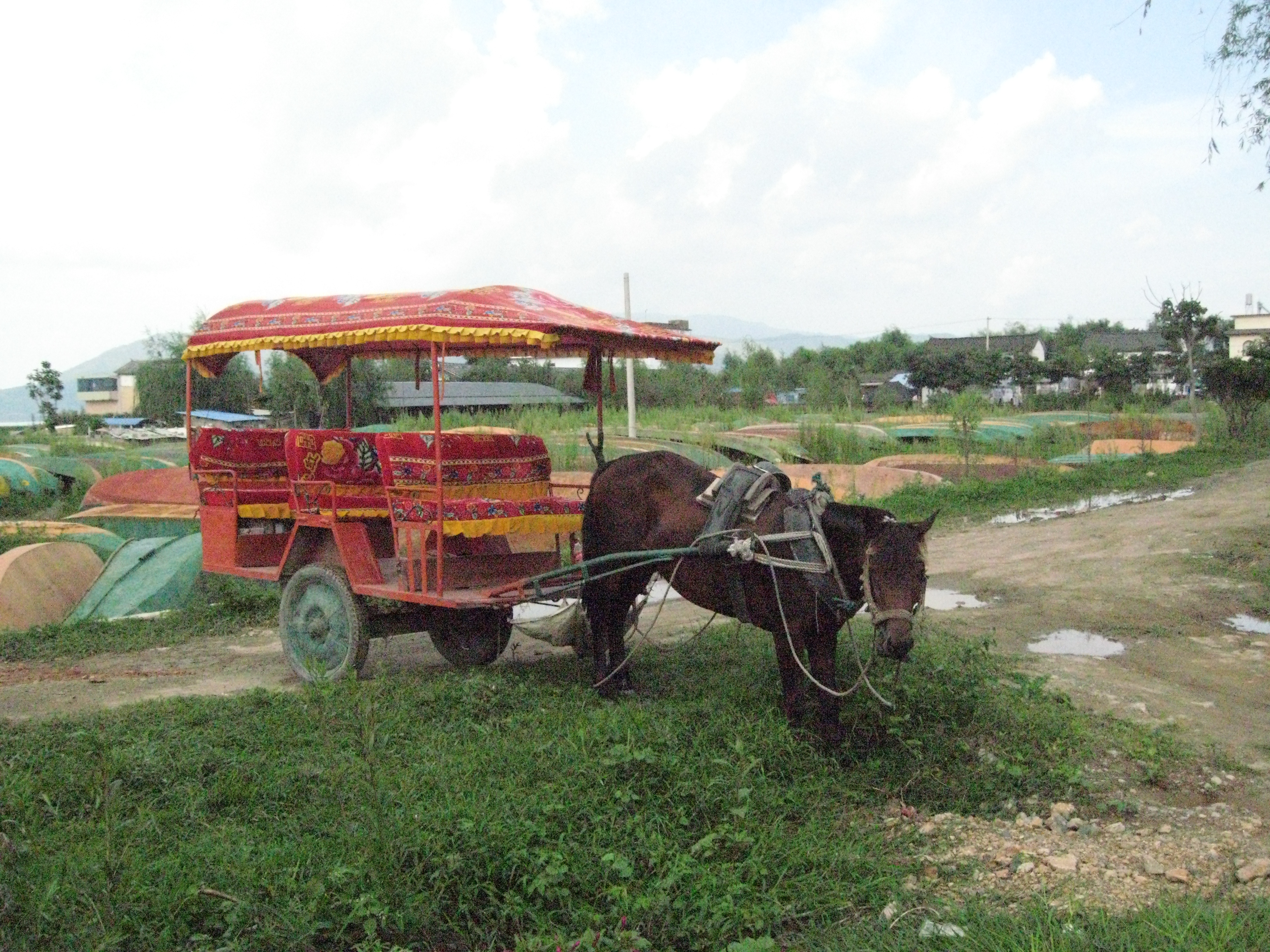 IMG_0131 copy 2.jpeg