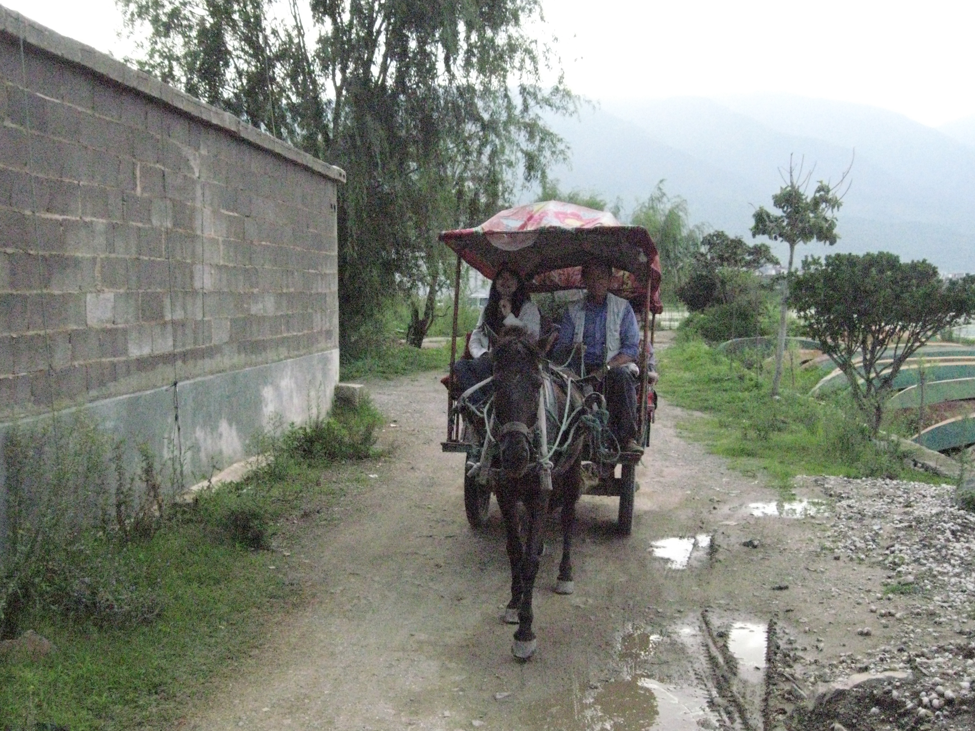 IMG_0134 copy 2.jpeg